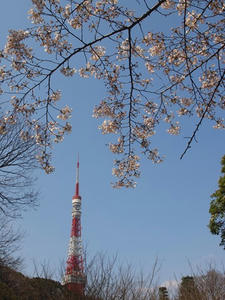 P3276670shuusei.JPG