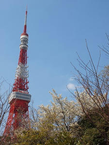 P3276708shuusei.JPG