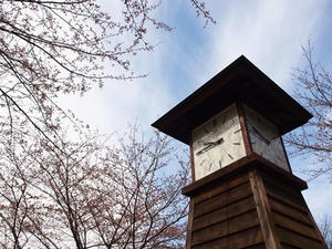 P3296775shuusei.JPG