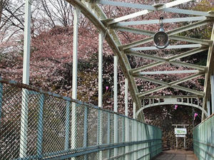 P3296769shuusei.JPG