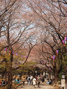P3296858shuusei.JPG