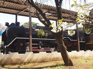 P3296851shuusei.JPG