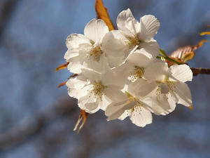 P3296830shuusei.JPG