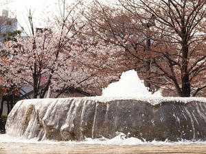 P3296782shuusei.JPG