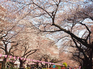 P3296871shuusei.JPG