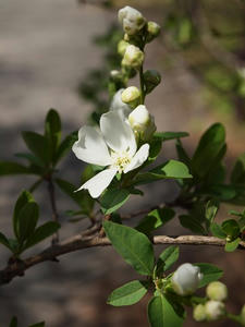 P3296961shuusei.JPG