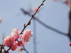P3296985shuusei.JPG