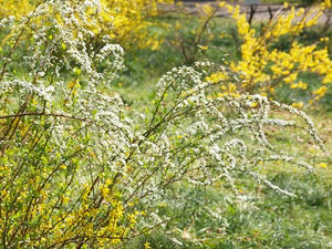 P3296998shuusei.JPG