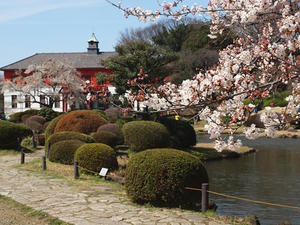 P3296973shuusei.JPG