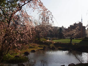 P3307136shuusei.JPG