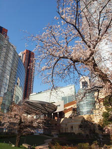 P3307101shuusei.JPG