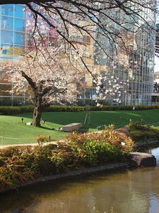 P3307130shuusei.JPG