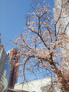 P3307124shuusei.JPG