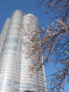P3307120shuusei.JPG