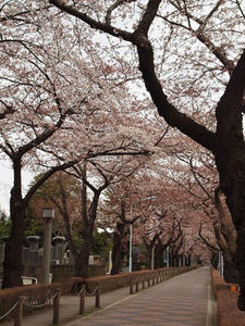 P3317153shuusei.JPG