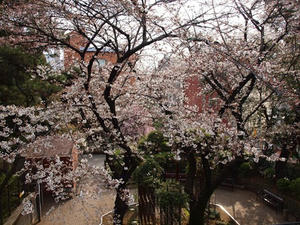 P3317219shuusei.JPG