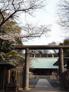 P3317260shuusei.JPG