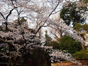 P3317273shuusei.JPG