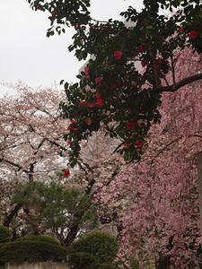 P3317279shuusei.JPG