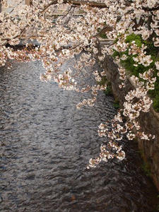 P4017317shuusei.JPG