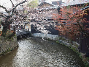 P4017364shuusei.JPG