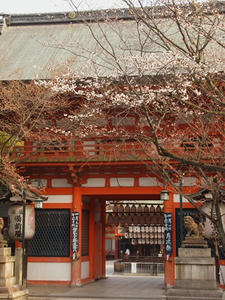 P4017411shuusei.JPG