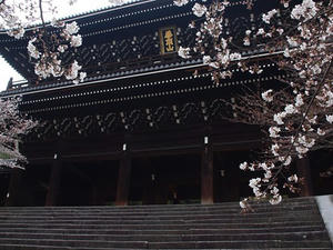 P4017468shuusei.JPG
