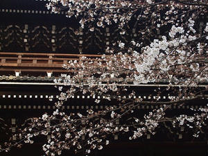 P4017484shuusei.JPG