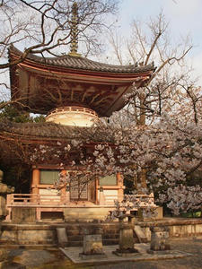 P4017497shuusei.JPG