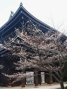 P4017509shuusei.JPG
