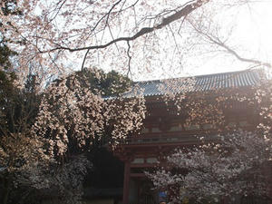 P4017548shuusei.JPG