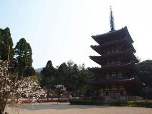 P4017657shuusei.JPG