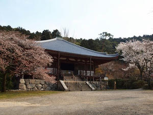 P4017609shuusei.JPG