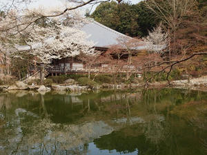 P4017629shuusei.JPG