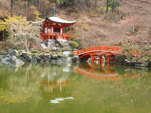 P4017619shuusei.JPG