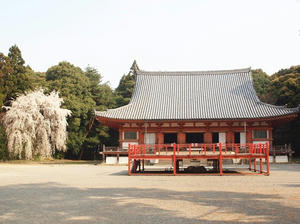 P4017566shuusei.JPG