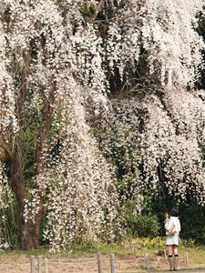 P4017684shuusei.JPG