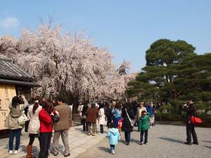 P4017767shuusei.JPG