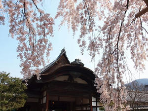 P4017733shuusei.JPG