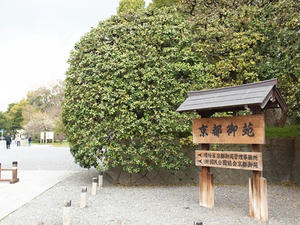 P4017768shuusei.JPG