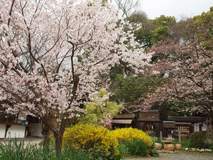P4017777shuusei.JPG