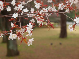 P4017797shuusei.JPG
