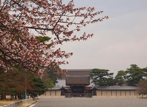 P4017803shuusei.JPG