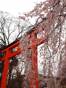 P4017848shuusei.JPG