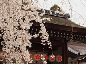 P4017864shuusei.JPG