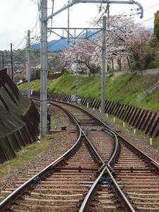P4017991shuusei.JPG