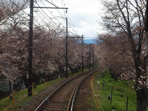 P4018004shuusei.JPG