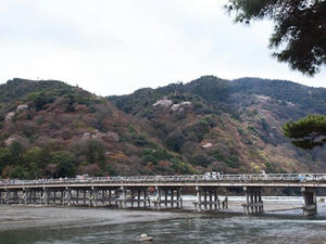 P4018027shuusei.JPG