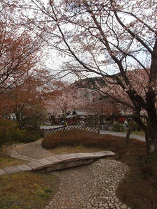 P4018050shuusei.JPG