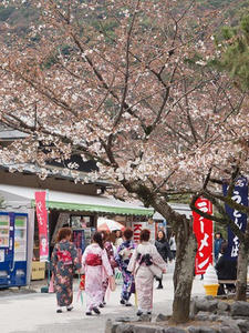 P4018057shuusei.JPG